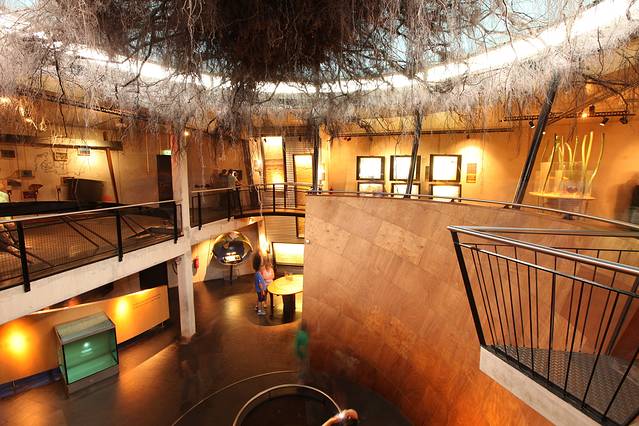 高费吕韦国家公园