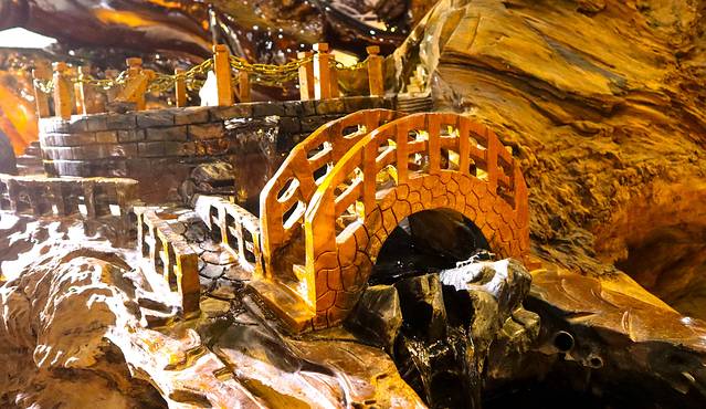 腾冲杜鹃王古木博览园