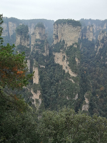 "袁家界最有名的是这块，立在山谷中的一柱，冲天一柱，据说是阿凡达的拍摄点，看着还是挺震撼的_袁家界景区"的评论图片