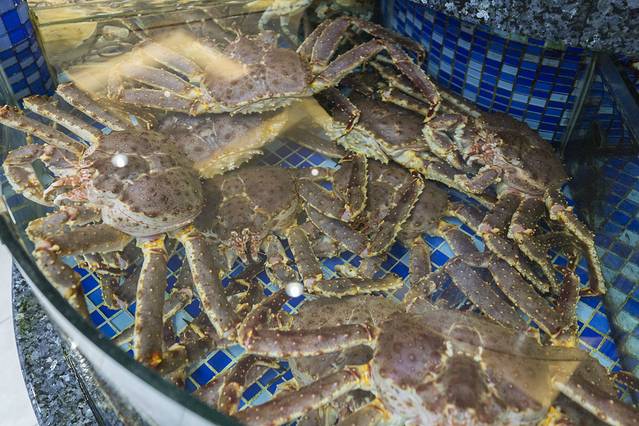 寻味顺德·珍之宝酒楼(伦教店)