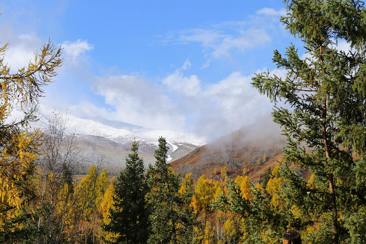 "...雪山、森林、河流，我像是走进了一副画里，我一下子明白了为什么喀纳斯被称为“人间仙境、神的花园”_喀纳斯湖"的评论图片