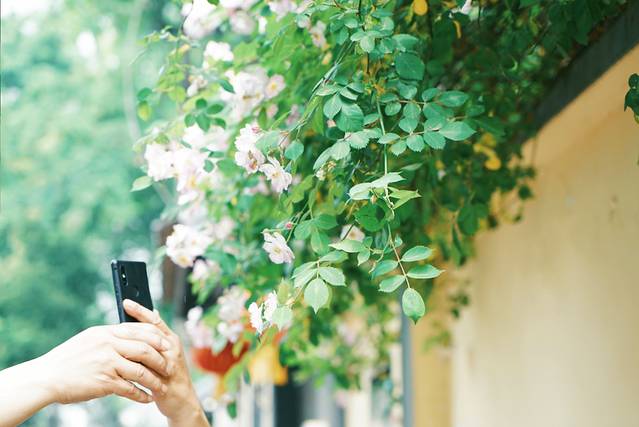 颐和路民国时期公馆风貌区