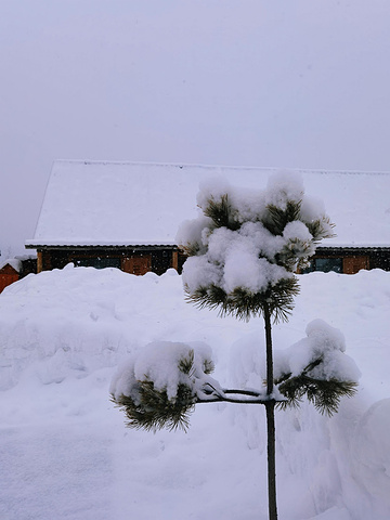 "...左右到达禾木风景区，天气好的时候非常漂亮，下雪的时候，放眼望去全是白色，拍出来的照片，各有千秋_禾木观景台"的评论图片