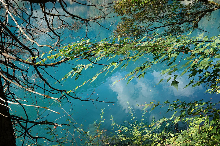 "二是每到深秋季节，湖岸山上层林尽染，林木在清澈湖水中的倒影斑驳陆离，如老虎身上斑斓的虎纹_老虎海"的评论图片