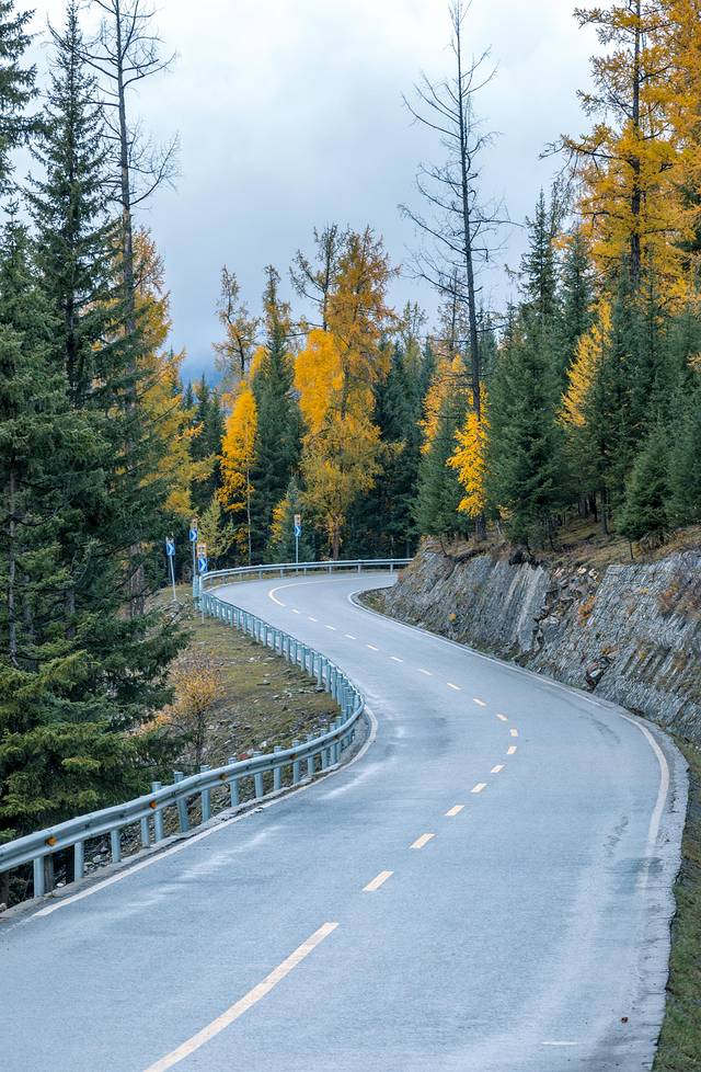 贾登峪国家森林公园