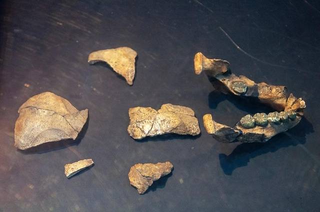 埃塞俄比亚国家博物馆