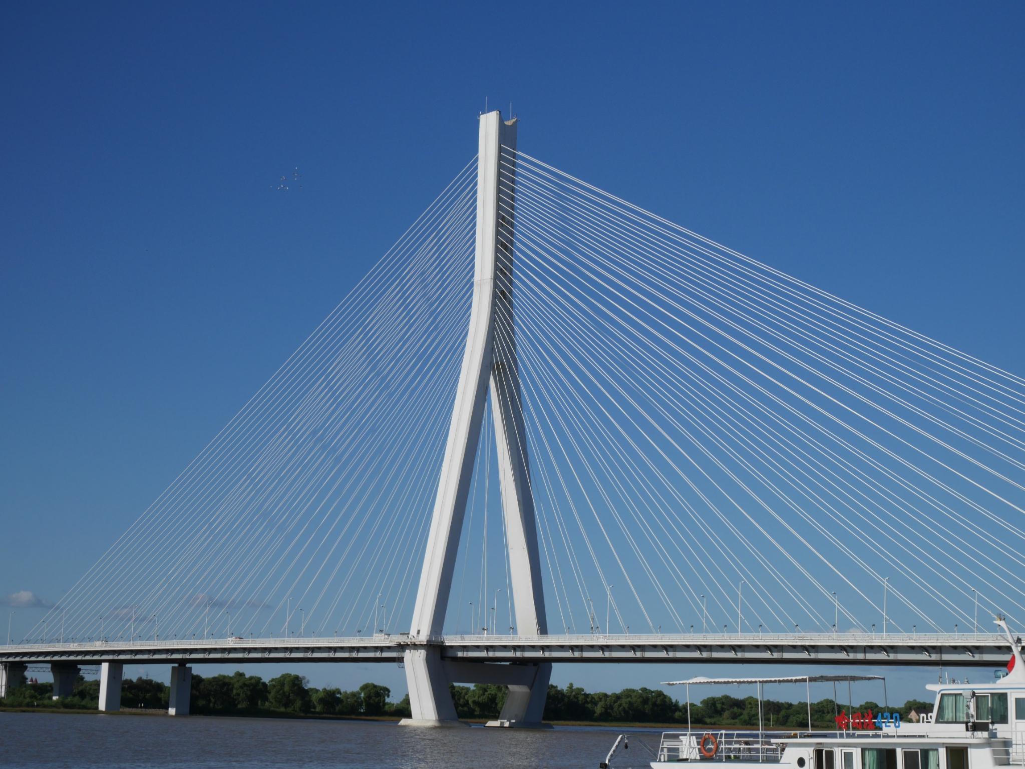 2022松浦大桥游玩攻略,新建的通往江北的桥,双斜拉 【去哪儿攻略】