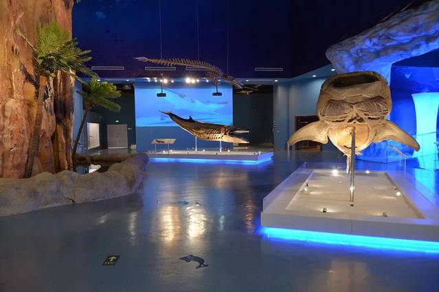 生命奥秘博物馆