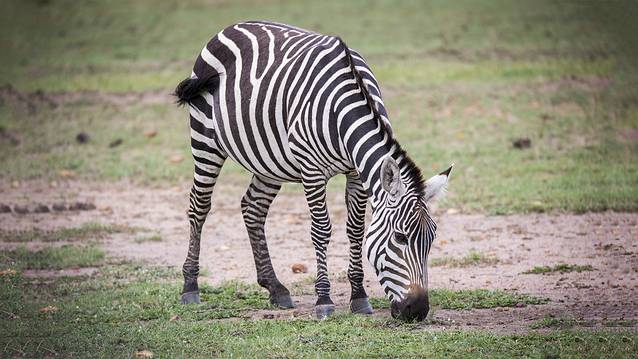 东非大裂谷观景点