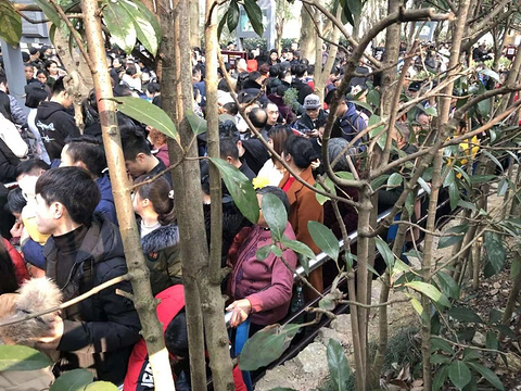 毛泽东广场旅游景点攻略图