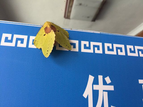 翠谷瀑布