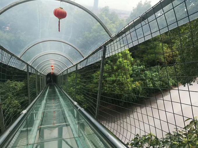 江阴网红打卡点|华东最长玻璃桥-旅游攻略-游记-去哪儿攻略