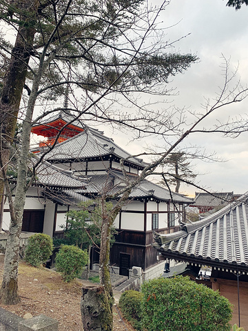 "清水寺是京都最古老的寺庙，整个寺庙色彩鲜艳适合拍照。但当时气温在零度左右，和服又比较薄我就没去体验_清水寺"的评论图片