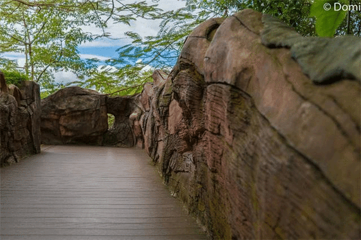 "...趣石阶、吊桥组成长达3.5公里的游览通道，分大、 中、小三个环形线路，以满足各类人群的游览需求_呀诺达雨林文化旅游区"的评论图片