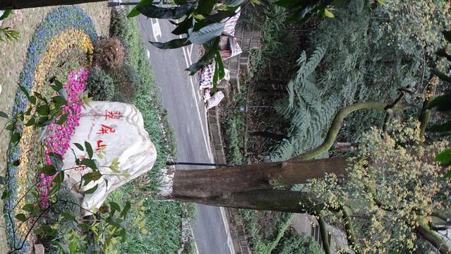 宜宾市翠屏山景区