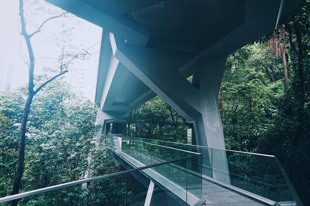 亚洲协会香港中心