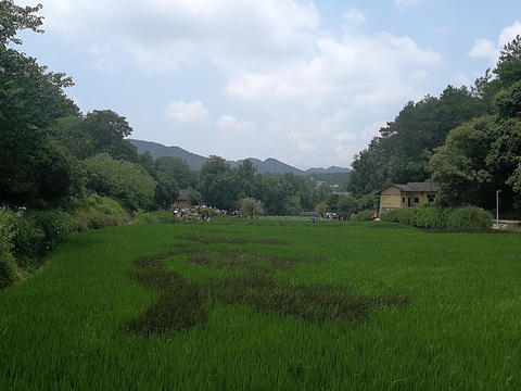 毛泽东故居旅游景点攻略图