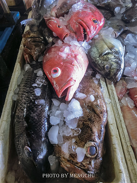 金巴兰鱼市场旅游景点攻略图