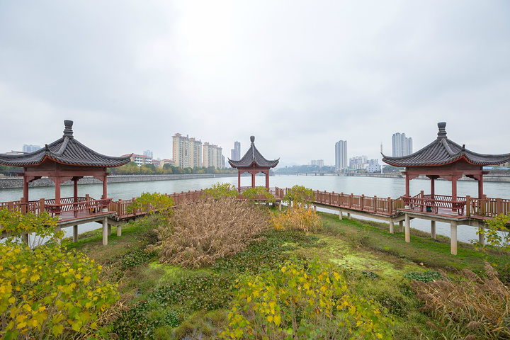 状元洲又名"卢洲",取自状元卢肇的姓氏,又因其形状酷似一只随水沉浮的