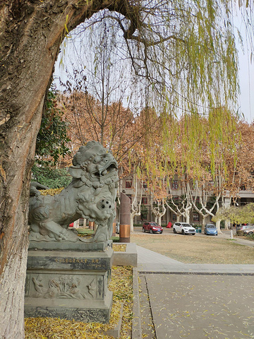 "西安交通大学是我到西安逛的第一个景点。它有个有趣的花名，“不挂女神”_西安交通大学"的评论图片