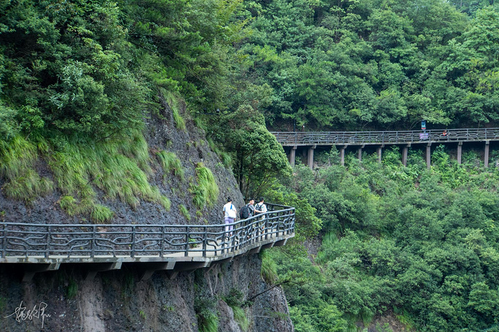 頭望去是仙境般的神仙居火山流紋岩地貌天淅瀝瀝下著小雨地板都溼透了