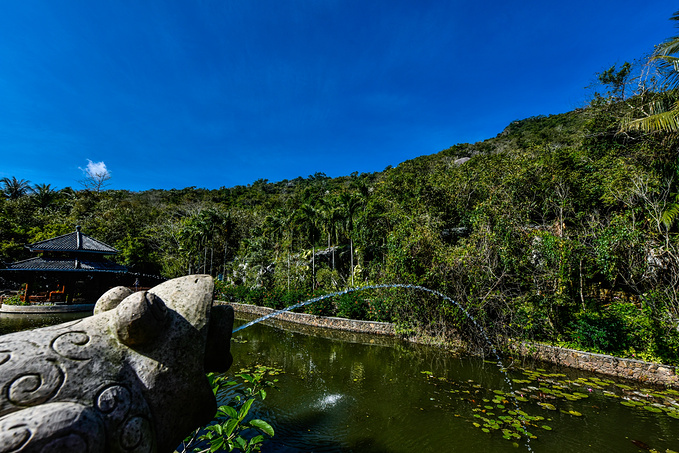 三亚热带森林公园图片