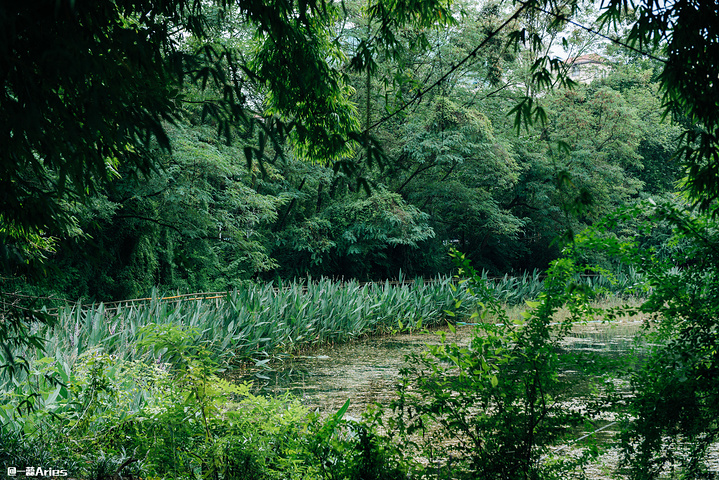 "十年后的花溪公园是曾经的几倍，若有时间，真心值得慢慢玩耍，不但可以欣赏这里的好山好水，阴凉地方..._花溪公园"的评论图片