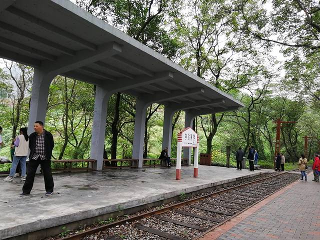 歌乐山国家森林公园