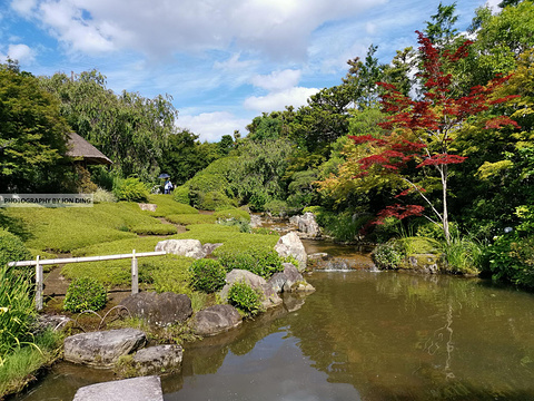 退藏院庭园