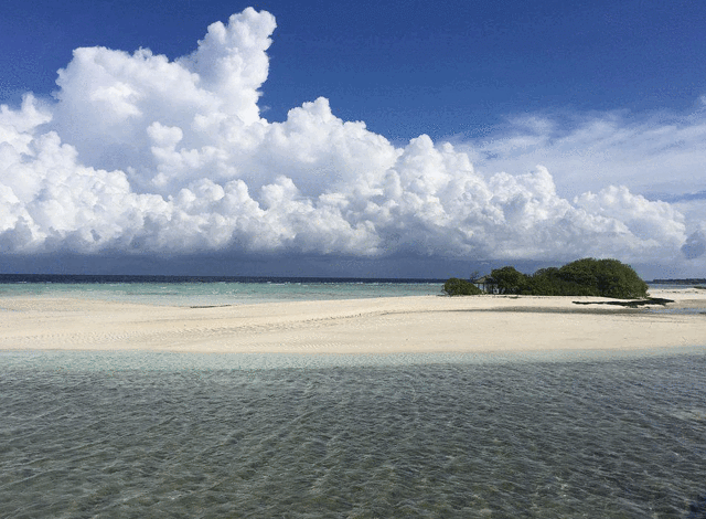 瑞喜敦岛主餐厅