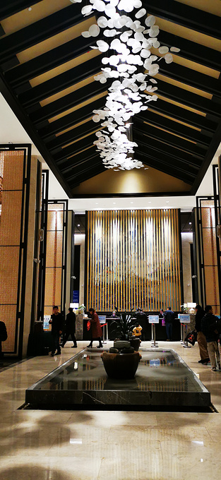 安远康莱博国际酒店图片