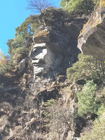 "门票：40元/人（持有有效证件如学生证、老人证等可半票，20元/人）苍山之上，是大自然的馈赠_苍山"的评论图片