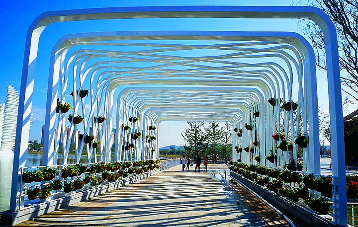 "海上丝绸之路艺术公园-中国西方梦启航的地方_海丝艺术公园"的评论图片