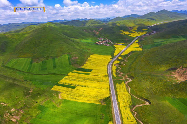 "完全被高山草甸油菜花海包围，尤其路边的上浪坎村，美得可以让人语无伦次，不成为特色旅游风景线简直……木_美仁大草原"的评论图片