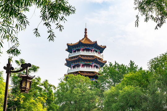 梅河口市长白山植物园旅游景点图片
