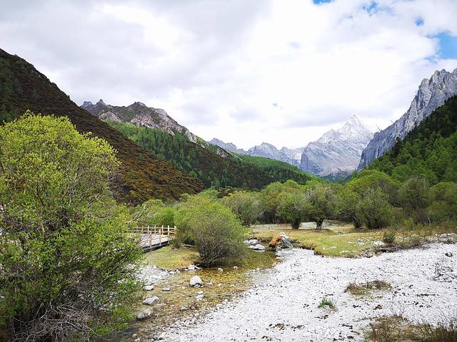 稻城亚丁-冲古草甸