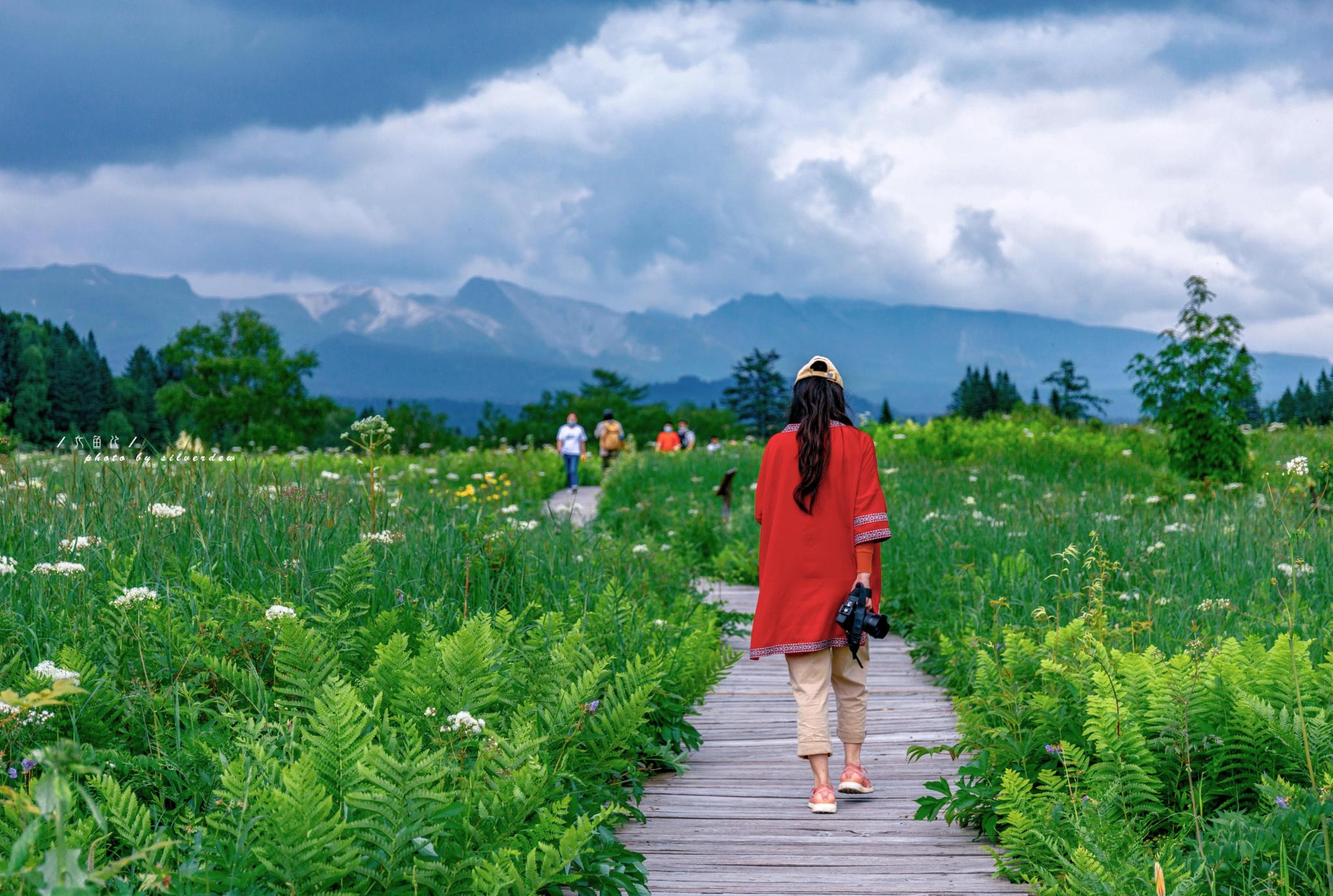 2020高山花园游玩攻略 高山花园的最佳旅游季节是7 去哪儿攻略