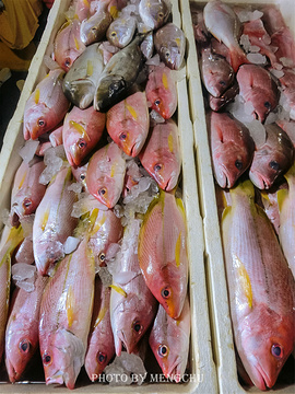 金巴兰鱼市场旅游景点攻略图