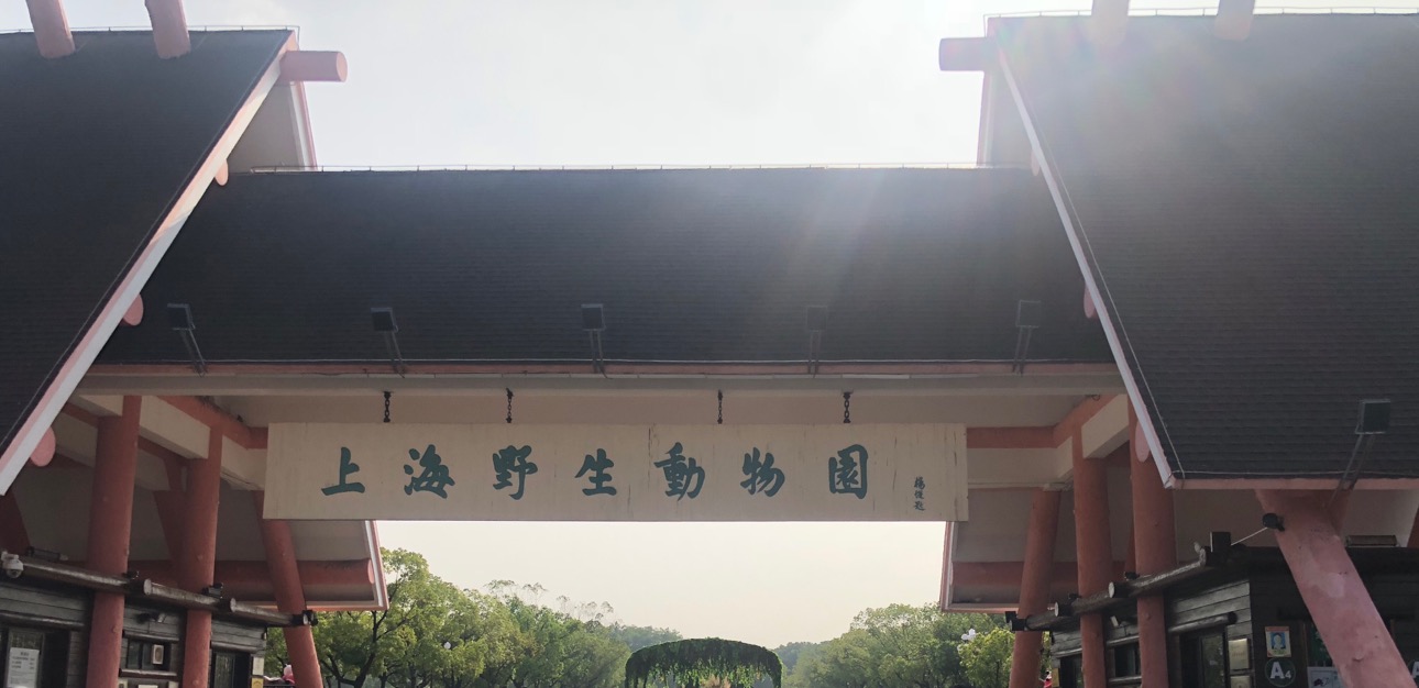 上海野生动物园——荡口古镇——鹅湖玫瑰文化园——鸿山遗址博物馆——中华赏石园