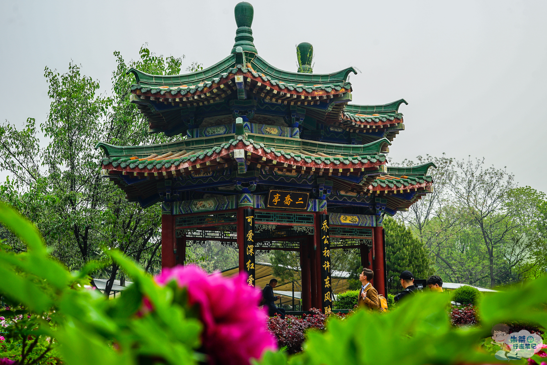 2021中国国花园-旅游攻略-门票-地址-问答-游记点评，洛阳旅游旅游景点推荐-去哪儿攻略