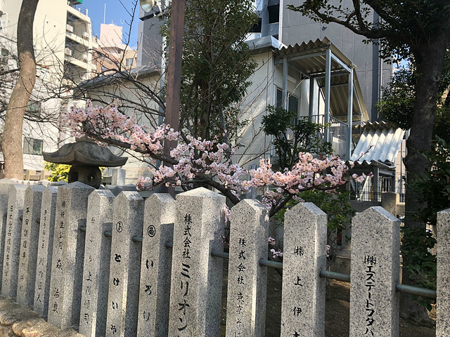 "神社很不错哦，规模还蛮大的，而且早春三月有几只樱花已经开啦非常美丽~很气派的一个神社_三宫神社"的评论图片