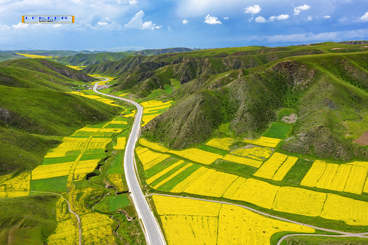 "完全被高山草甸油菜花海包围，尤其路边的上浪坎村，美得可以让人语无伦次，不成为特色旅游风景线简直……木_美仁大草原"的评论图片