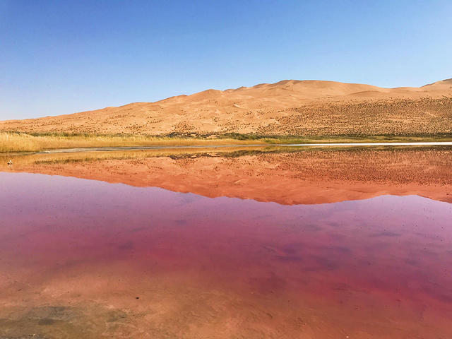"通常去沙漠，指的 巴丹吉林 沙漠旅游区，是正式的景点，也是很多旅行社做的常规路线_巴丹吉林沙漠"的评论图片