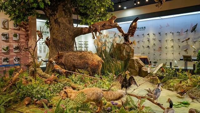 天柱山地质公园博物馆