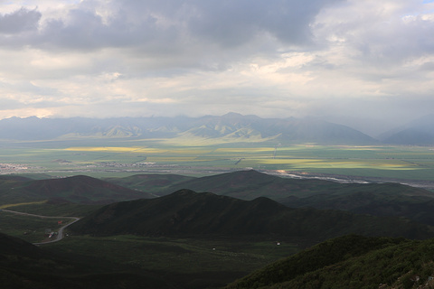 门源百里油菜花海旅游景点攻略图