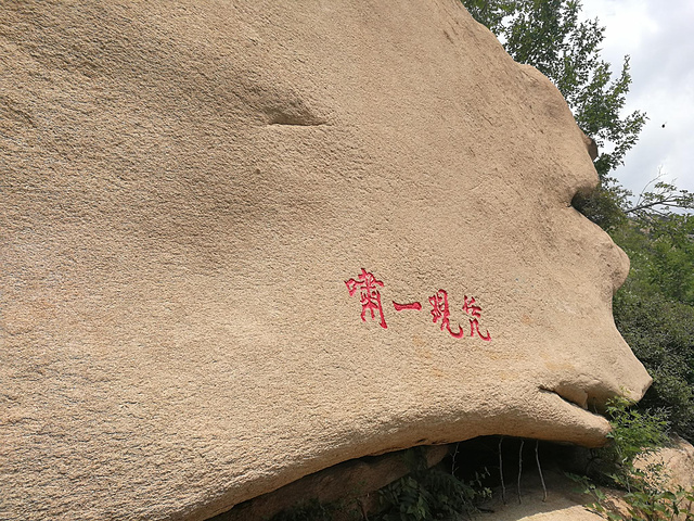 "【小提示】碣石山不高但非常险峻，夏日登山建议带2瓶水，山上多为岩石少高大树木，注意防晒_碣石山景区"的评论图片