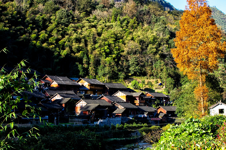 "...顶的村庄—家庭村，上面有民宿，很多的摄影爱好者应该会上去住上一晚，找到绝佳的机位拍摄震撼的照片_矮寨镇"的评论图片