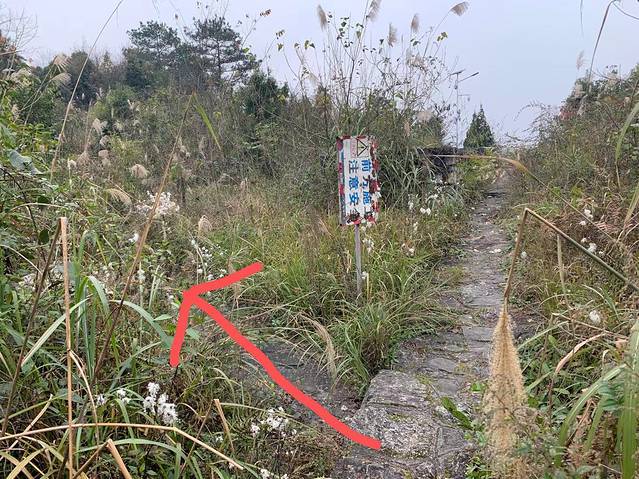 平塘天坑群景区