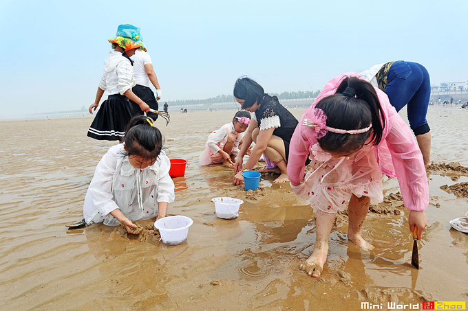 安静的海边——日照万宝滨海风景区图片
