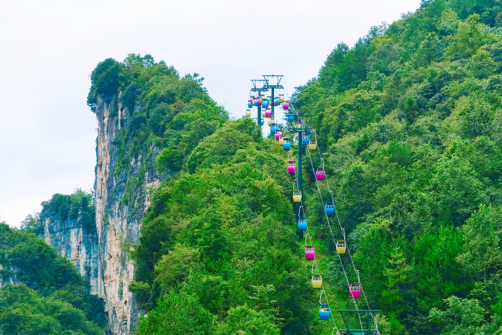 "雄伟奇特的峰林景观在岩溶地貌中十分罕见，可谓“奇峰异石大观园”_湖北恩施黄鹤桥野三河"的评论图片